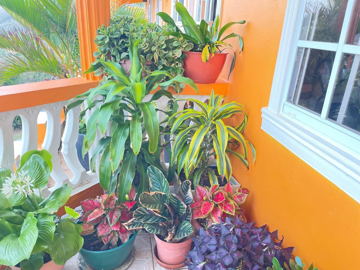 Sunrise Suite Gros Islet Exterior foto